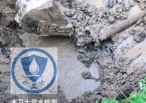 珠晖区水管漏水检测公司5